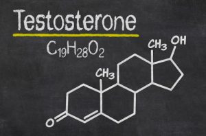 Characteristics of steroids cholesterol
