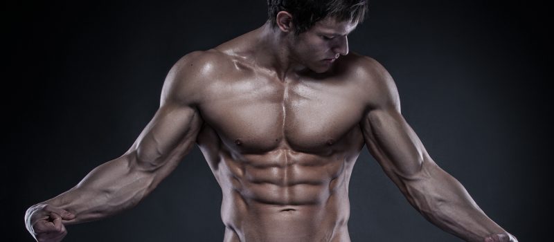 Bodybuilding Articles on Muscular Development