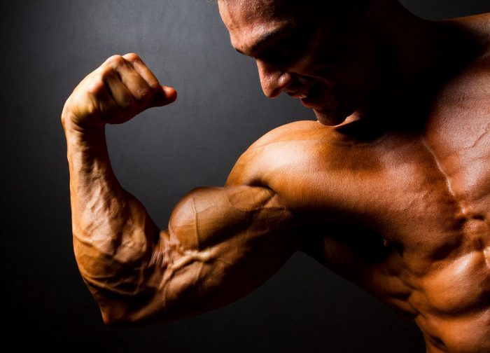 SEARCH AND BUY THIS PRODUCT Anabolic Steroids Dosage for Bodybuilding - Testosterone