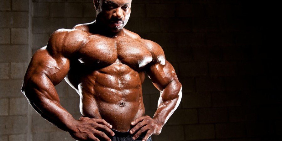 bodybuilder