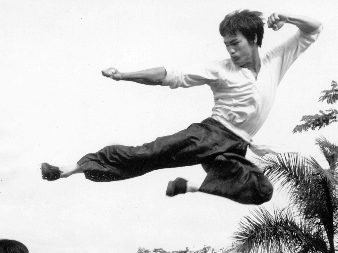 Bruce Lee