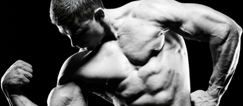 steroid cycle