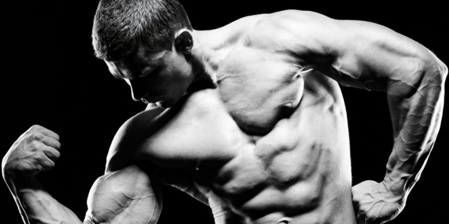 steroid cycle