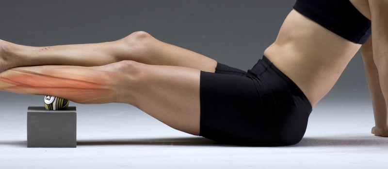 calf muscles
