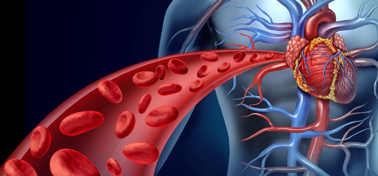 blood circulation