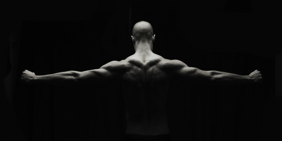 build muscles