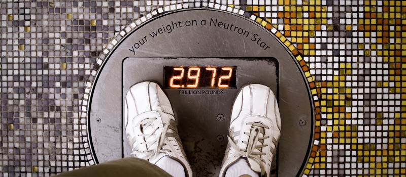 lose weight