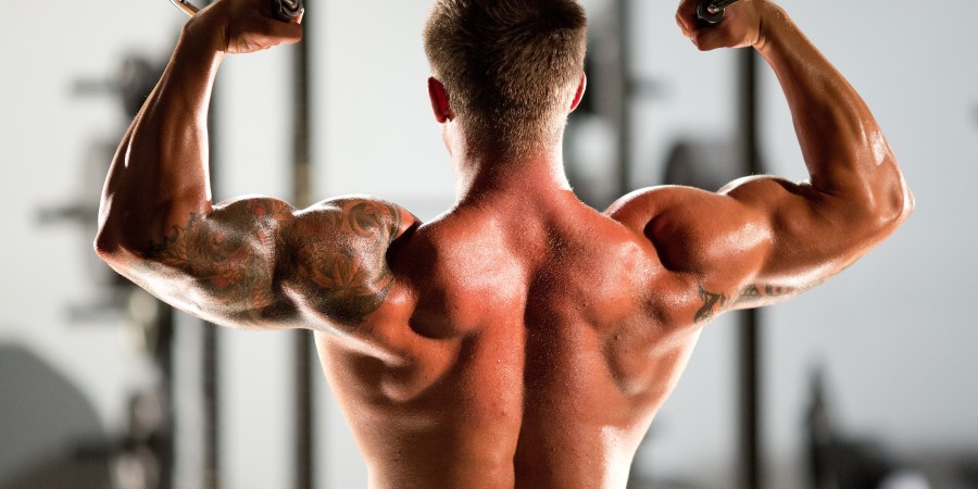 Resistance Band Exercises Upper Body Workout