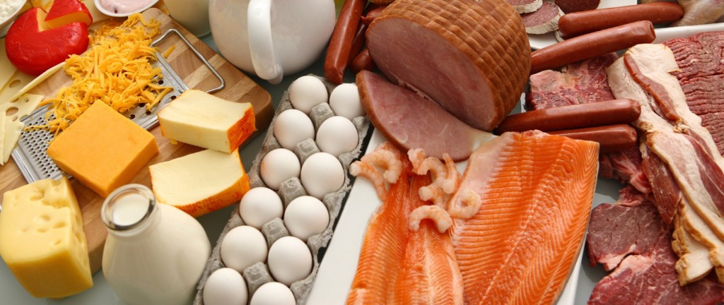 High Protein Diet high protein diet