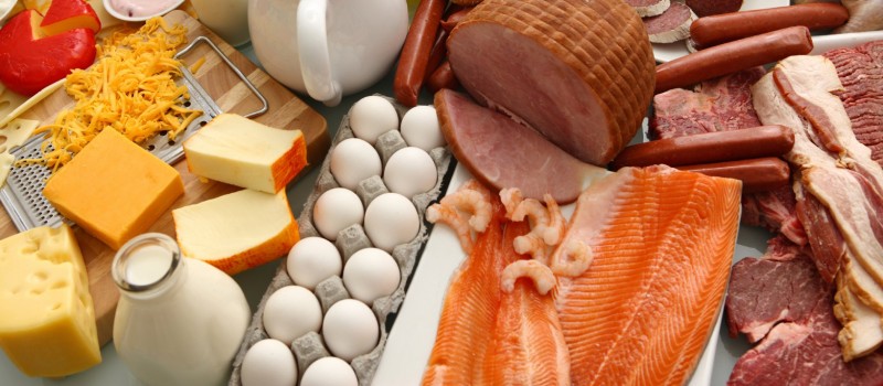 high protein diet