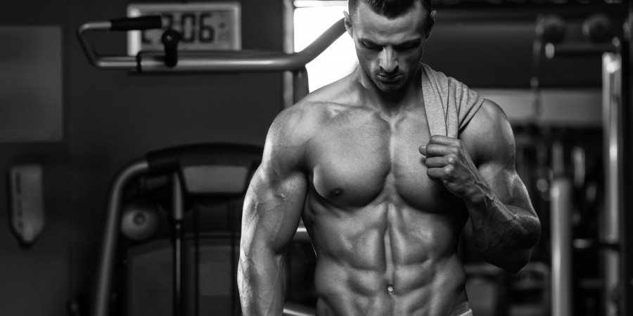 gaining muscle mass