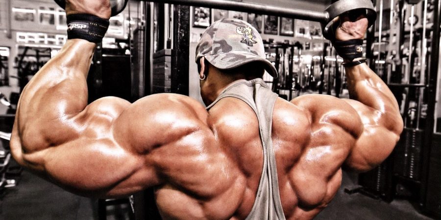 bodybuilder training
