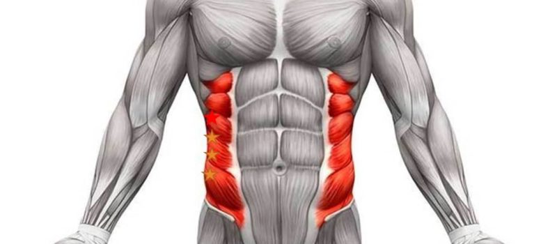 Abdominal obliques