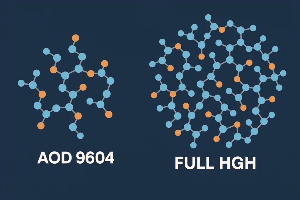 Molecular structure comparison showing AOD 9604 vs full HGH molecule