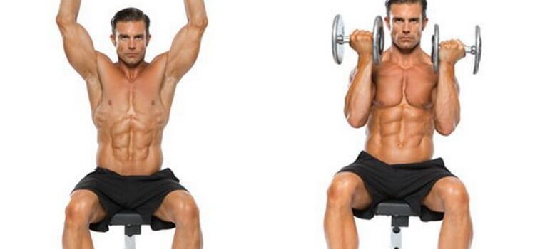 arnold press