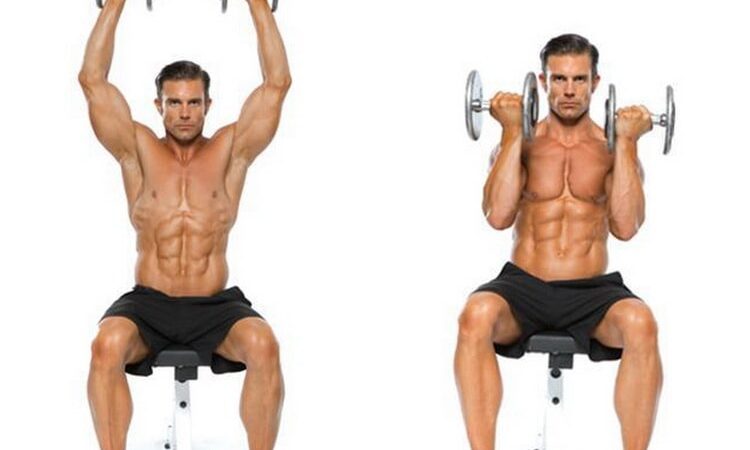 arnold press