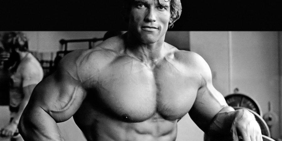 arnold schwarzenegger