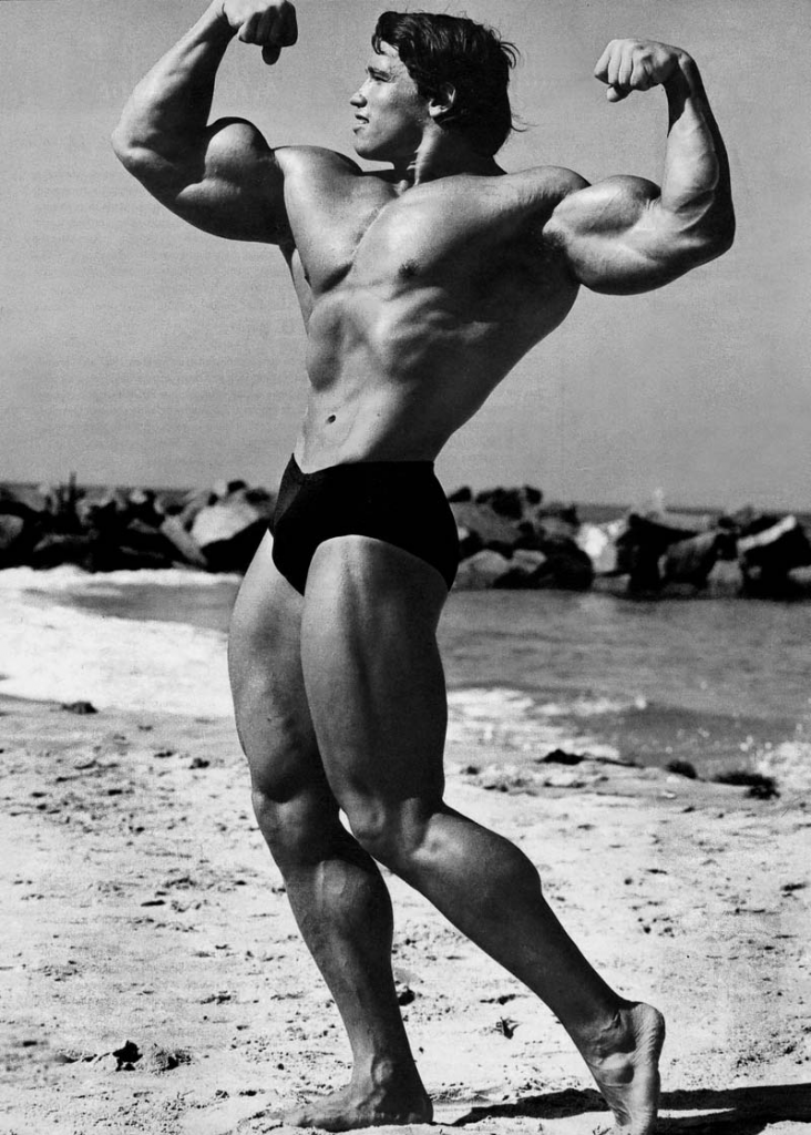 arnold schwarzenegger body