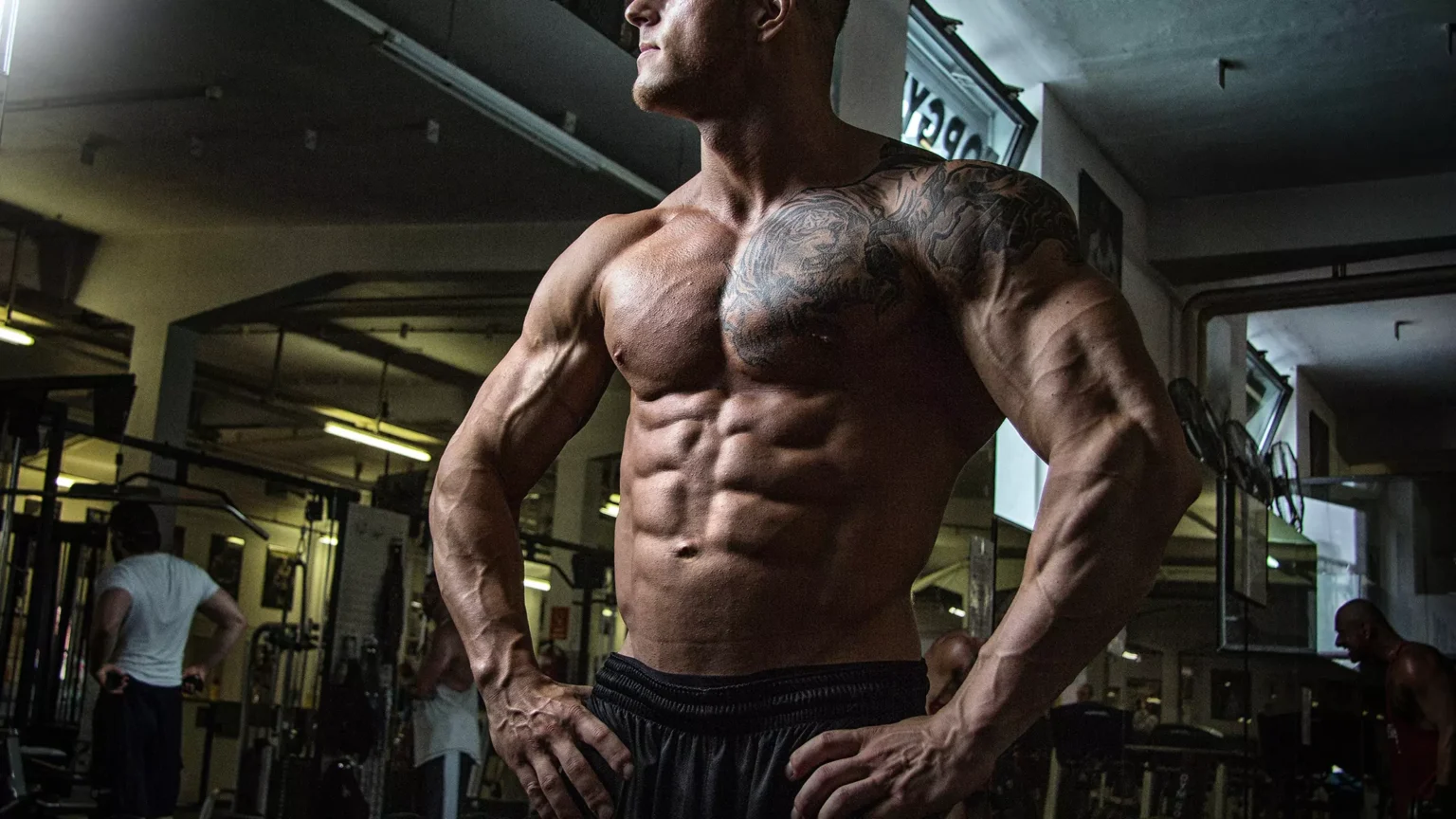 Know Working Mechanism & Benefits Before You Buy Steroids Gear in USA benefits before you buy steroids gear in usa