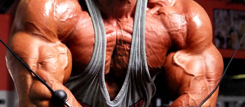 Best Steroids for Size