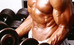 Training Biceps with Dumbbell