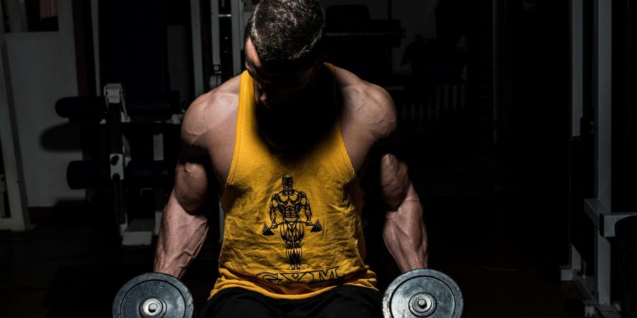 bodybuilding guidelines