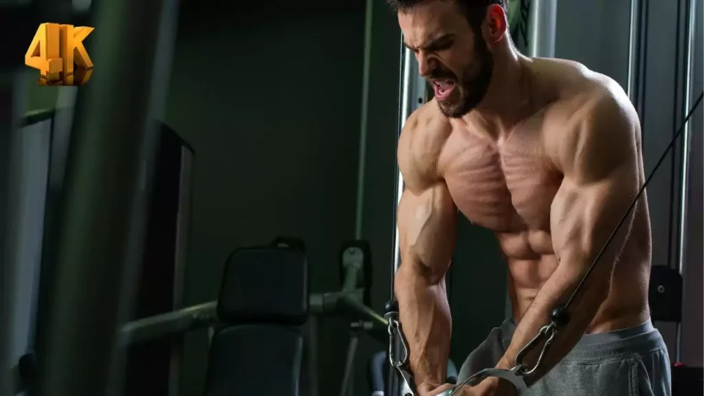 Looking Forward To Have A Great Body? Buy Steroids Now! buy steroids now