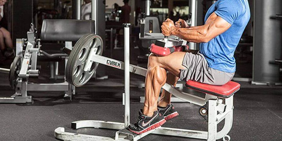 calve training