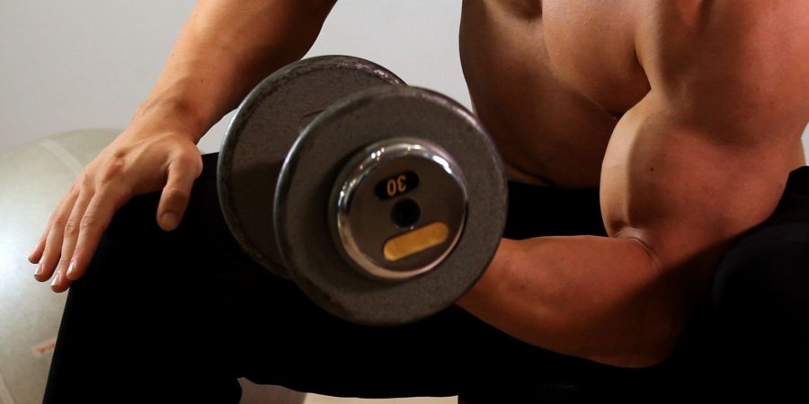 concentration curls exercise