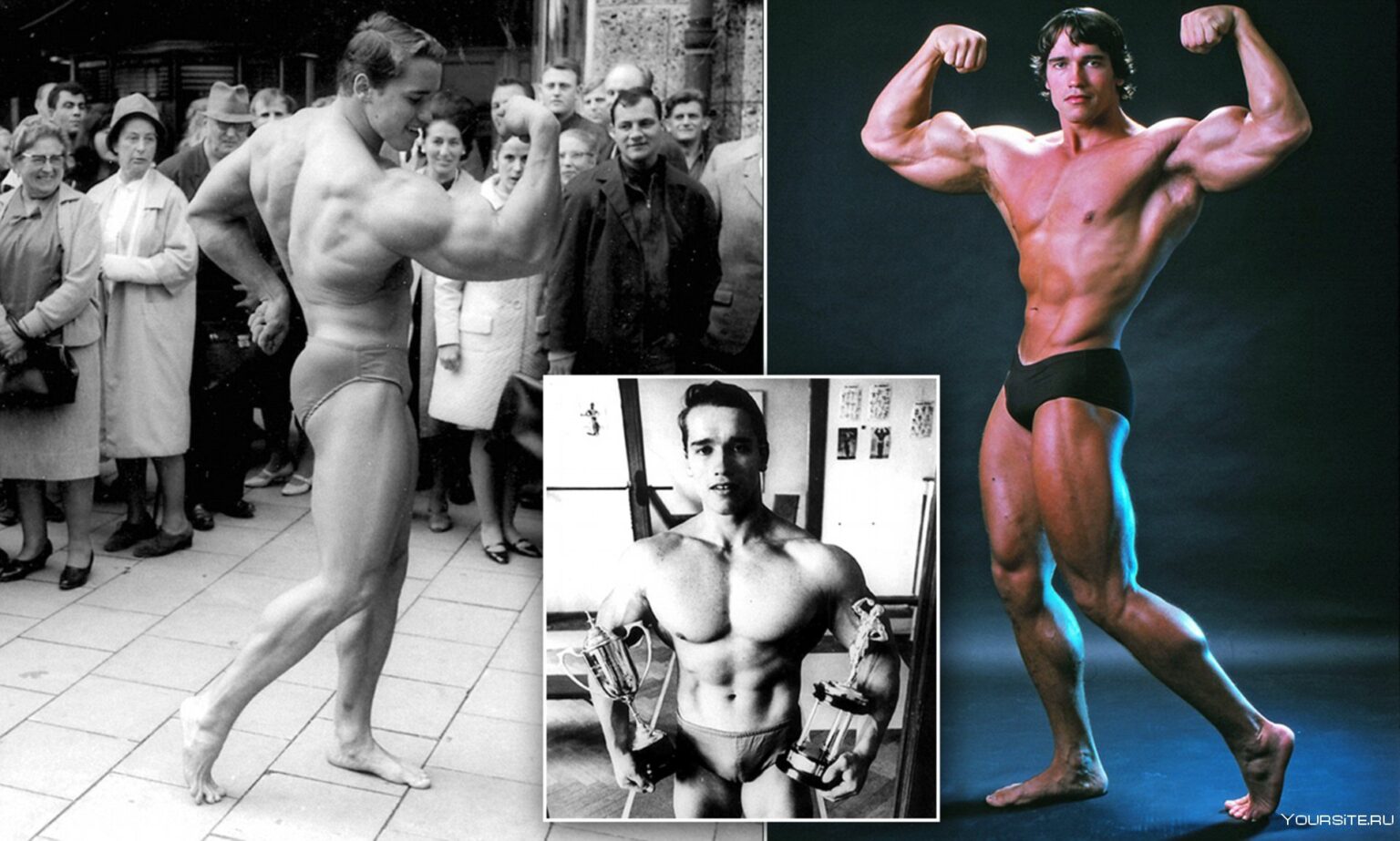 did arnold schwarzenegger take steroids