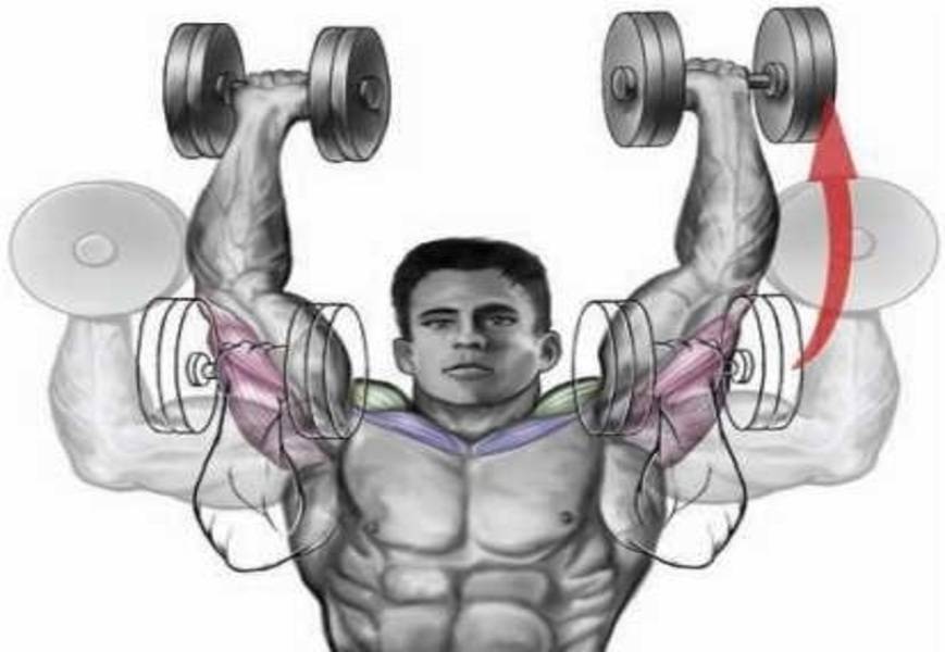 dumbbell shoulder press