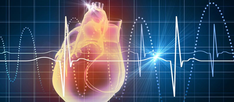 Fitness Heart Rate