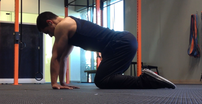 forearms stretching exercise