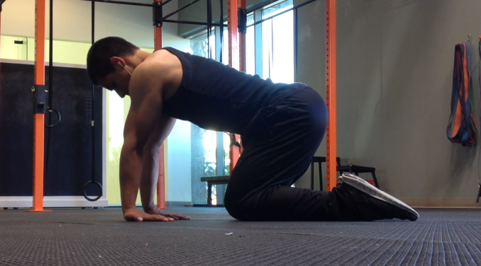 forearms stretching exercise