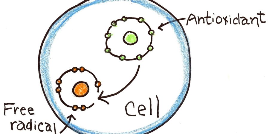 Free Radicals And Antioxidants