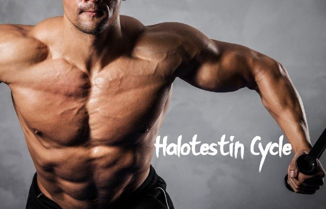 halotestin cycle: results, dosage, and side effects