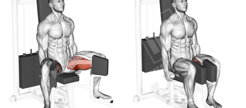 Hip Adductor Machine