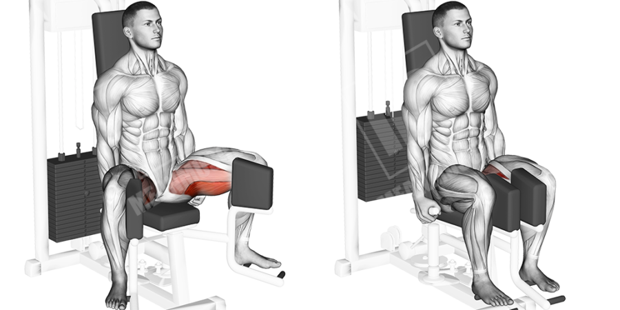 Hip Adductor Machine