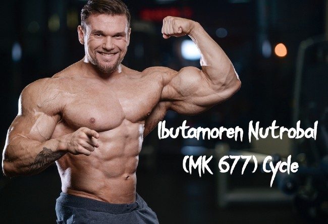 ibutamoren nutrobal mk 677 cycle