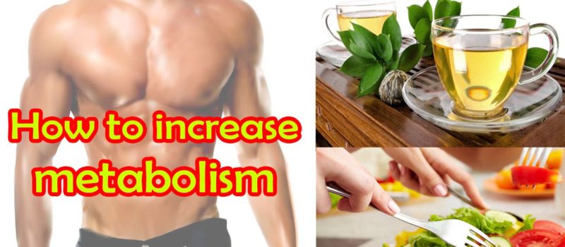 increase metabolism