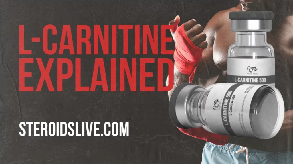 l-carnitine explained