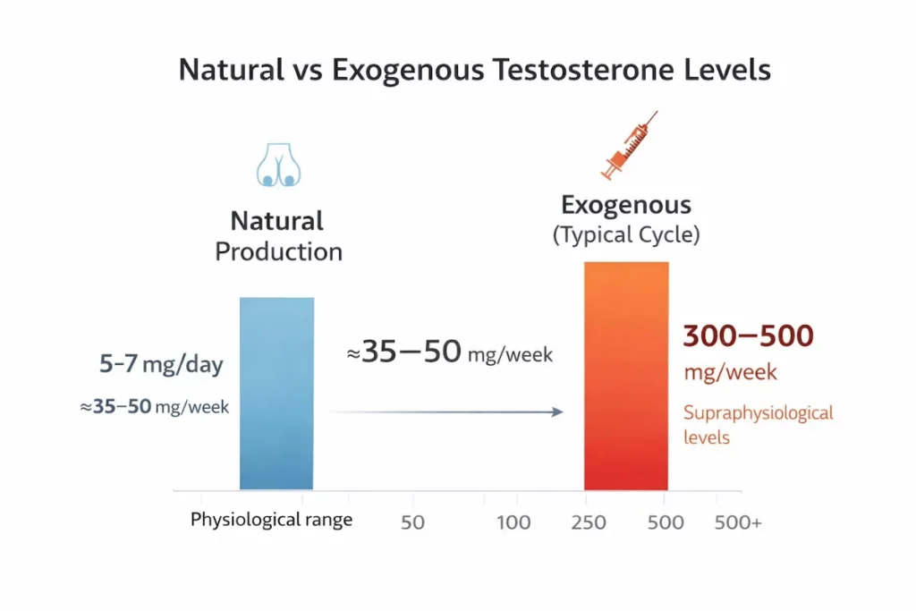 Comparison chart of natural testosterone production versus exogenous testosterone cycle levels