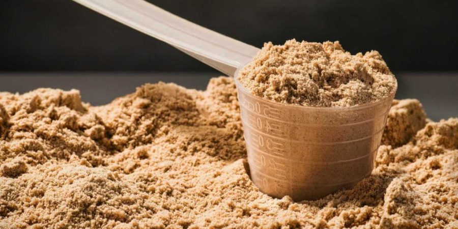 protein powder