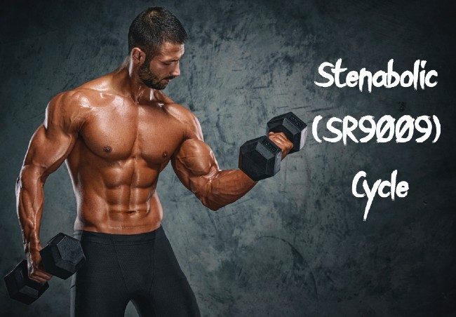 stenabolic sr9009 cycle