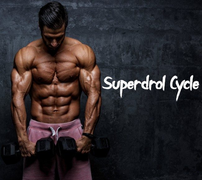 superdrol cycle reviews