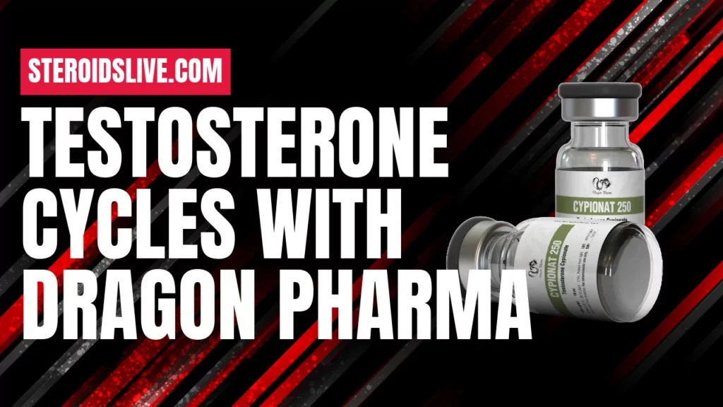 Testosterone Cycles with Dragon Pharma: What to Know testosterone cycles with dragon pharma