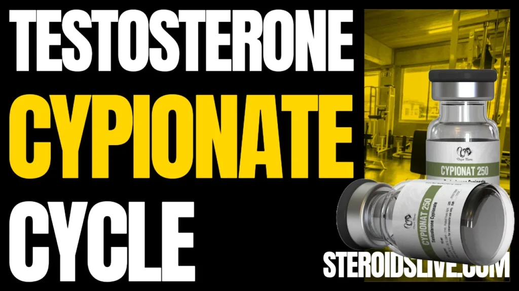 Testosterone Cypionate Cycle: Beginner & Intermediate Guide Testosterone Cypionate Cycle