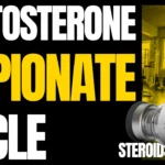 Testosterone Cypionate Cycle
