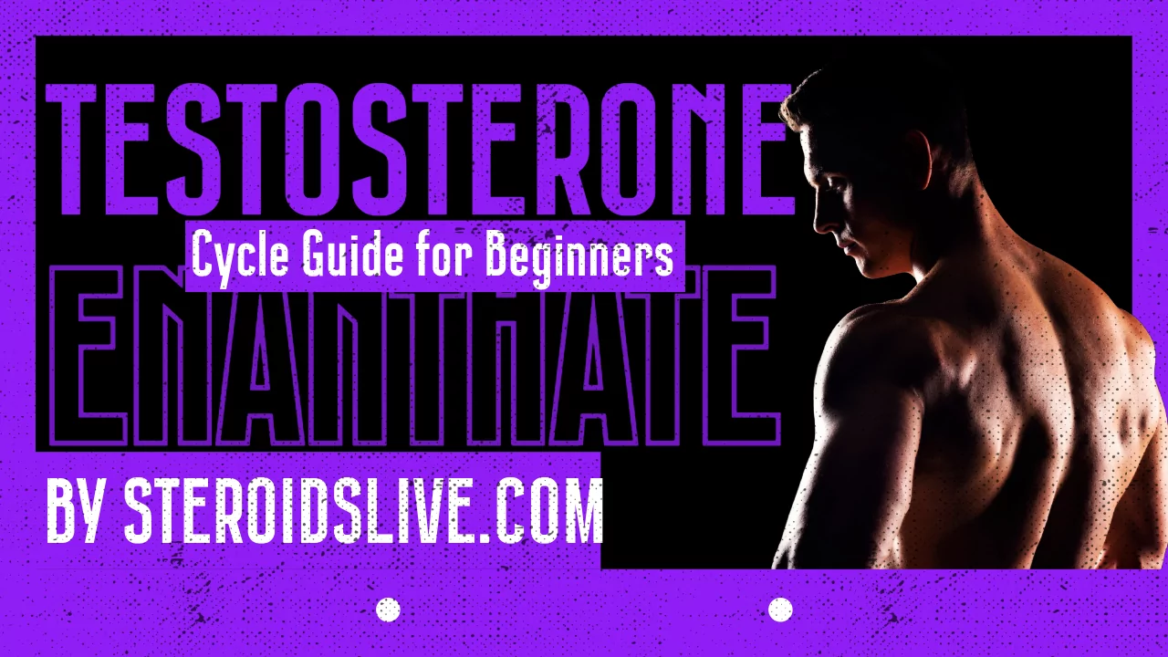 testosterone enanthate cycle