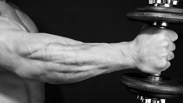 training forearms